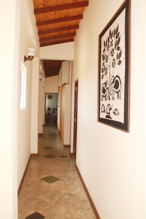 Blue Elephant Tourist Guesthouse Kudapaduwa Bagian luar foto