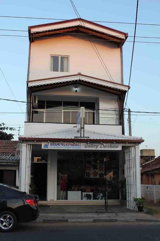 Blue Elephant Tourist Guesthouse Kudapaduwa Bagian luar foto